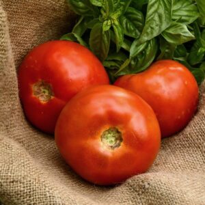 Vine Tomatoes